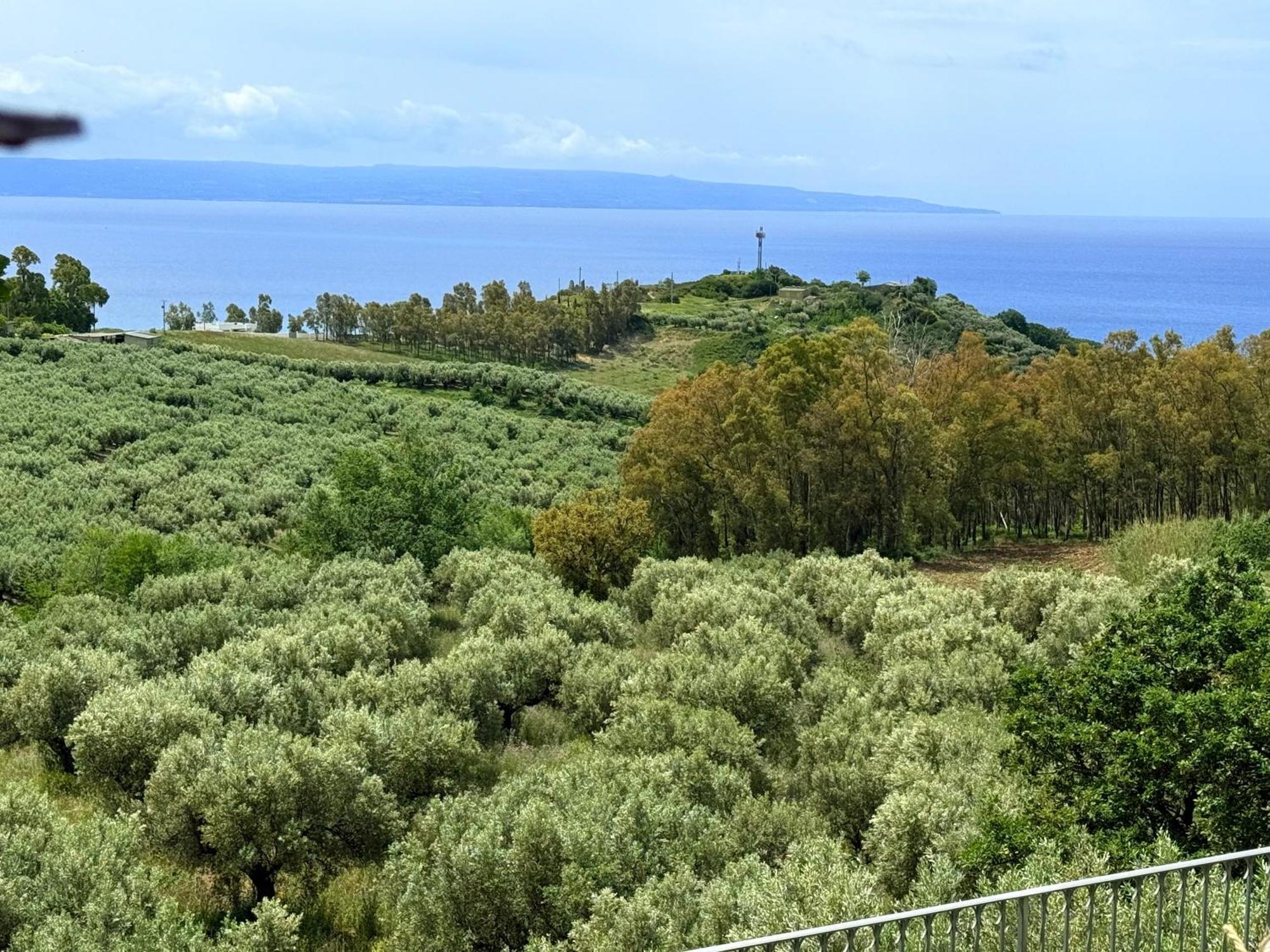 Casale Calabria Bed & Breakfast Gizzeria Exterior photo